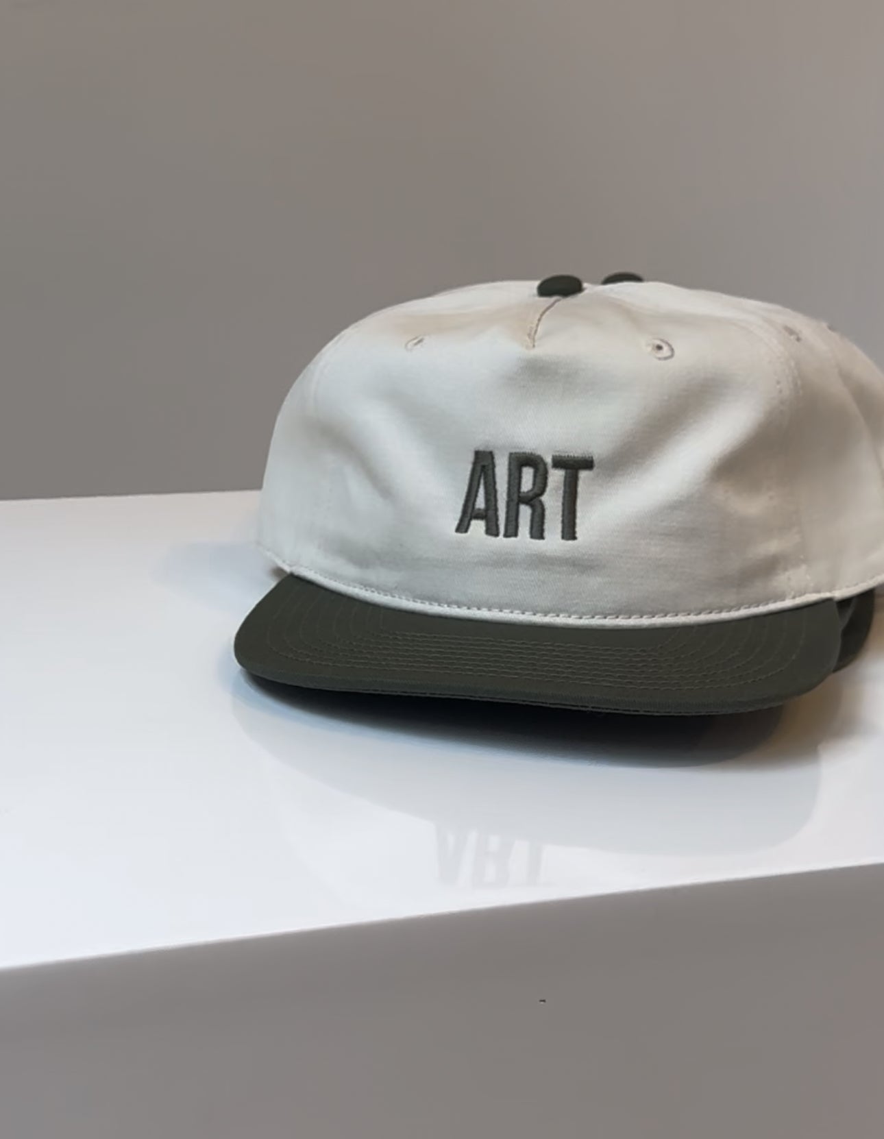 "ART" Frame Two-Tone Cap